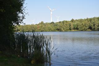 Ferienhof Schmeder-Heide - Hatten - 3