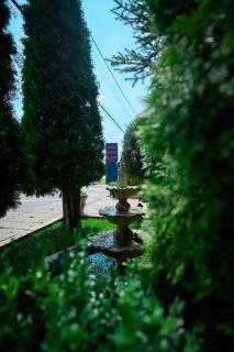 Pensiunea Rami - - 1