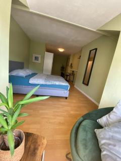 Vikarti Stay, a lovely house with incredible view - Dinant - 2