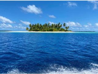 Oceanic Inn - Kolamaafushi - 6
