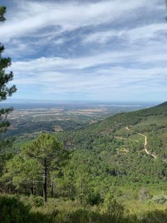 Casa Real - S’Arenal - 6
