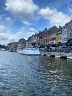 Vikarti Stay, a lovely house with incredible view - Dinant - 9