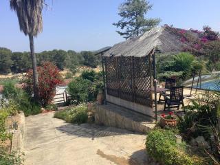 Casa Ramona - - 9