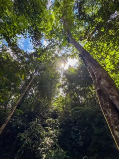 Juno Homestay - Mulatiyana - 8