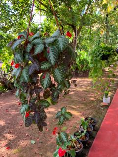 Juno Homestay - Mulatiyana - 4