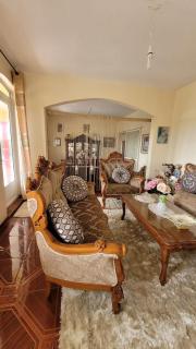 Liana - Surinam - 4