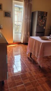 Liana - Surinam - 1