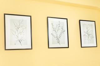 Lovely Fiuggi Apartment - near the Thermal Baths - 5