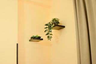 Lovely Fiuggi Apartment - near the Thermal Baths - 7