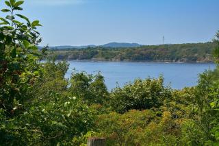 Elegant Escape, Modern Luxe in Historic Suite - Saint John - 6