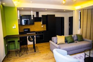 PLSA 1bedrooms at airport city - Accra - 5