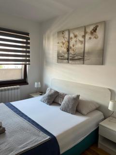 Stan na dan Spasovdanska -  - 2