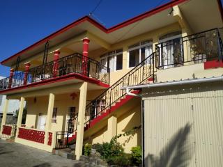 Liana - Surinam - 0