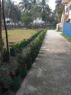 Holy Island guest house gangasagar - 9