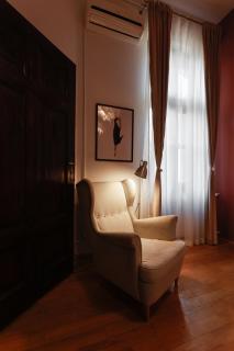 Savoya Flat in the City Center - Timişoara - 3