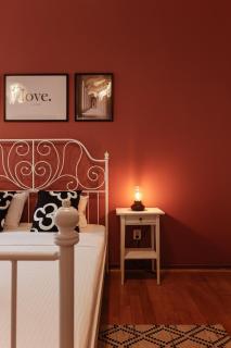 Savoya Flat in the City Center - Timişoara - 6