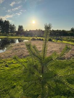 Harmony Resort & Spa - Padumble - 8