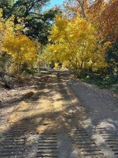 Ash Creek Canyon Mining Cabin Chrysotile Arizona - 3