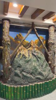 Hotel JS Pashupati - 6