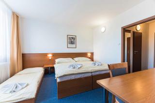 Hotel RYSY - Tatranska Strba - 9
