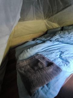 Buļļi atpūtas vieta - 8