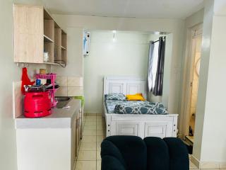 Spurmall, Ruiru, Ashke Gardens, Gwakairo - 3