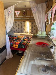 2 ROOM TENT In The GARDEN & 2 single guest beds in the house - Edimburgo - 7