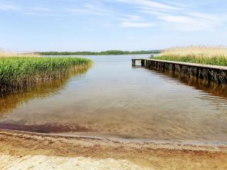 Ferienhausidylle mit Motorboot am See - Basedow - 9