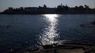 HOME SWEET HOME Casa vacanze e affitti brevi - 0