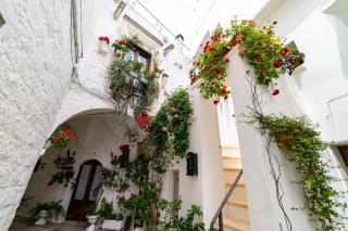 Domus Isola - Cisternino - Cisternino - 1