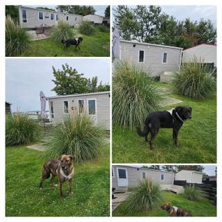Watt-Fee - Westerland - 7