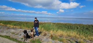 Watt-Fee - Westerland - 6