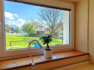 Riverdance with mountain view, garden and private parking - 6