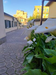 Dimora Trionfale - Roma - 9