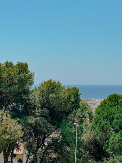 Villa Helecho - 6
