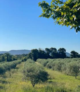 Maison de charme, pleine nature - 5