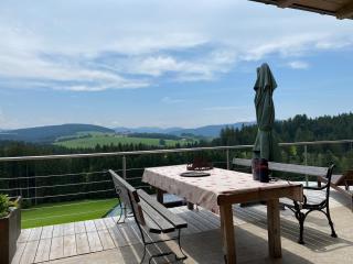 Alm Chalet on Mondsee Mountain, pets welcome! - Zell am Moos - 6