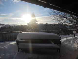 Alm Chalet on Mondsee Mountain, pets welcome! - 1