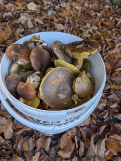 Apartamenty Klangor - 4