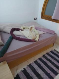 3-Bed Apartment with Sea View Sleeps 6 - 2