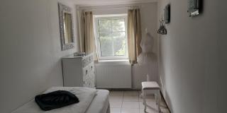 Casa Domingo - Oase im Herzen des Waldviertels - 1