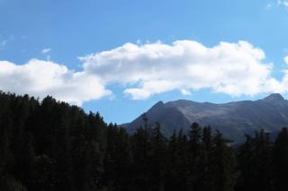 Résidence Orr Des Forets - 87 Orrianes des forets MAE-0534 - 1