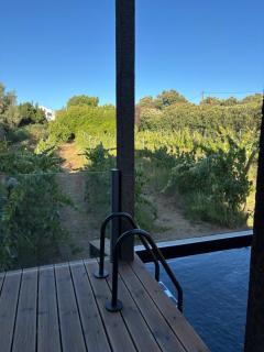 D'Vine - Country house - Cartaxo - 1
