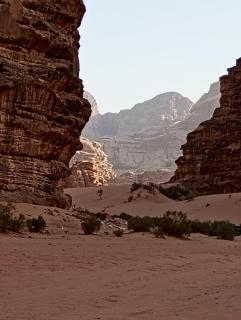 Shadow of Rum camp - Wadi Rum - 6