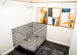 The Spacious Surprise - Hastings - 4