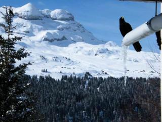 Résidence Belier - Appartement confortable · Au pied des pistes · WIFI gratuit et illimité · Terrasse MAE-7374 - 7