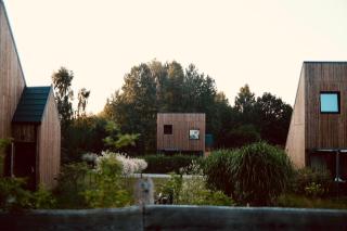 Zen Sasino - 8