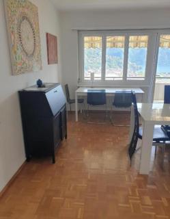 Lugano LakeView Apartment with Self Check-in & Private Parking on Request - 3