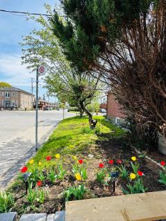 Relax in East York Space Share - 4