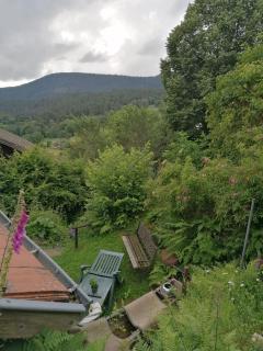 Bienvenue chez jacquou Chambre d'hote cher l'habitant - Aubure - 2